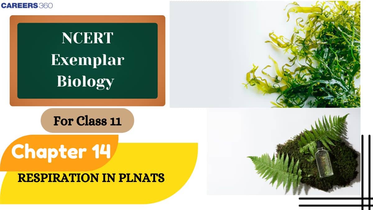 NCERT Exemplar Class 11 Biology Solutions Chapter 14 Respiration in Plants
